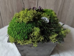 Srdce bíložluté s kopretinami