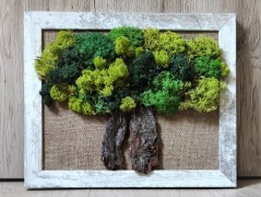 Srdce bíložluté s kopretinami