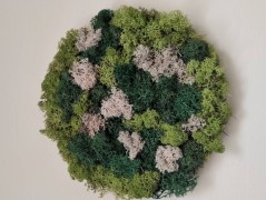 Srdce bíložluté s kopretinami