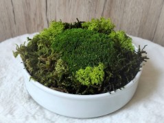 Srdce bíložluté s kopretinami