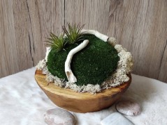 Srdce bíložluté s kopretinami