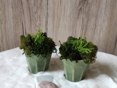 Srdce bíložluté s kopretinami