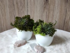 Srdce bíložluté s kopretinami