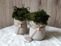 Srdce bíložluté s kopretinami