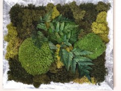 Srdce bíložluté s kopretinami