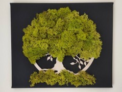 Srdce bíložluté s kopretinami