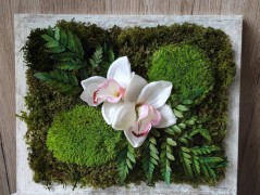 Srdce bíložluté s kopretinami