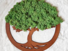 Srdce bíložluté s kopretinami