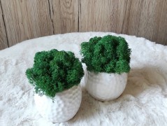 Srdce bíložluté s kopretinami