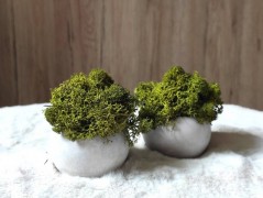 Srdce bíložluté s kopretinami