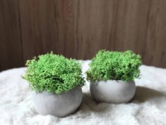 Srdce bíložluté s kopretinami