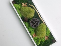 Miska plněná stabilizovaným mechem