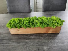 Miska plněná stabilizovaným mechem