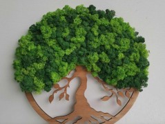 Miska plněná stabilizovaným mechem