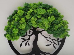 Miska plněná stabilizovaným mechem