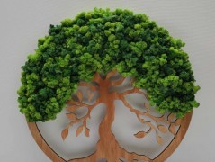 Miska plněná stabilizovaným mechem