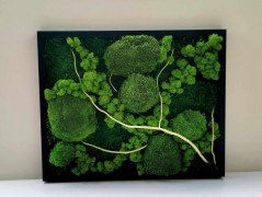 Miska plněná stabilizovaným mechem