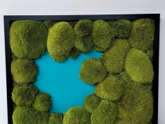 Miska plněná stabilizovaným mechem