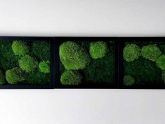 Miska plněná stabilizovaným mechem