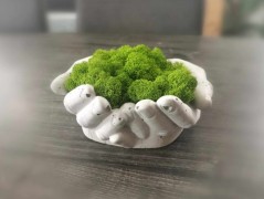 Miska plněná stabilizovaným mechem