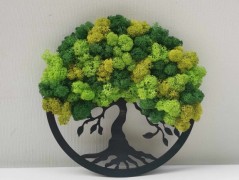 Miska plněná stabilizovaným mechem