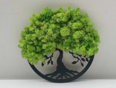 Miska plněná stabilizovaným mechem