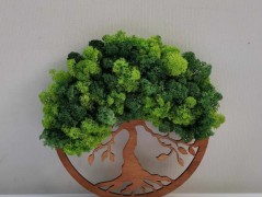 Miska plněná stabilizovaným mechem