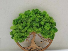 Miska plněná stabilizovaným mechem