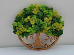 Miska plněná stabilizovaným mechem