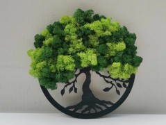 Miska plněná stabilizovaným mechem