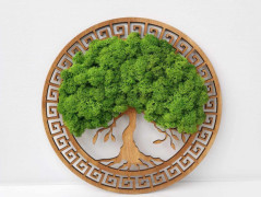 Miska plněná stabilizovaným mechem