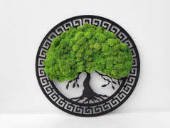 Miska plněná stabilizovaným mechem