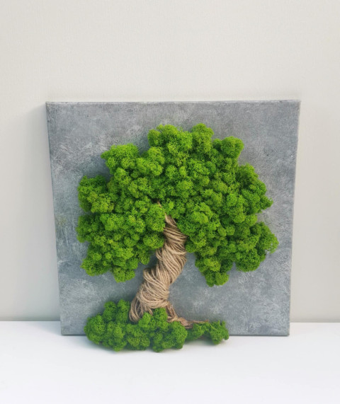 Mechový obraz, strom života, 40x40 obraz obrázek strom života sobí mech mechová dekorace mechový strom 