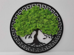 Miska plněná stabilizovaným mechem