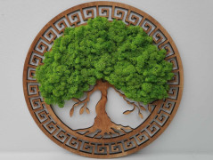 Miska plněná stabilizovaným mechem