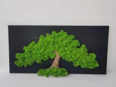 Miska plněná stabilizovaným mechem