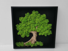 Miska plněná stabilizovaným mechem