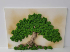 Miska plněná stabilizovaným mechem