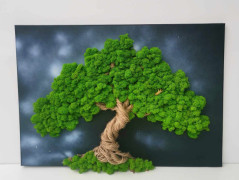 Miska plněná stabilizovaným mechem