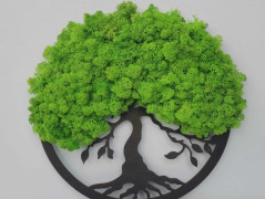 Miska plněná stabilizovaným mechem