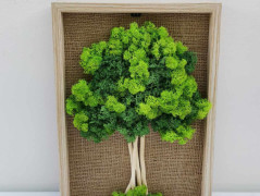 Miska plněná stabilizovaným mechem