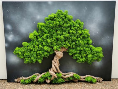 Miska plněná stabilizovaným mechem