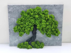 Miska plněná stabilizovaným mechem