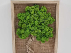 Miska plněná stabilizovaným mechem