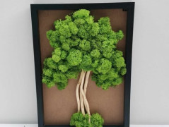 Miska plněná stabilizovaným mechem