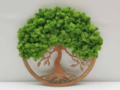 Miska plněná stabilizovaným mechem