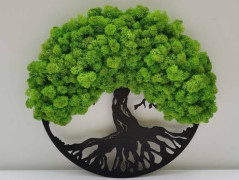 Miska plněná stabilizovaným mechem