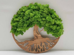 Miska plněná stabilizovaným mechem