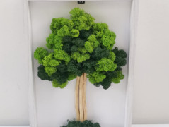 Miska plněná stabilizovaným mechem