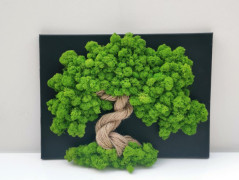 Miska plněná stabilizovaným mechem